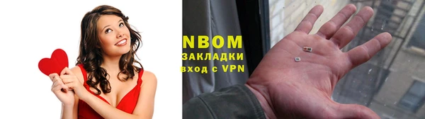 стаф Осташков