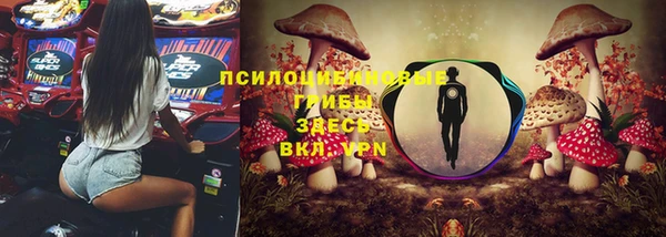 спайс Осинники