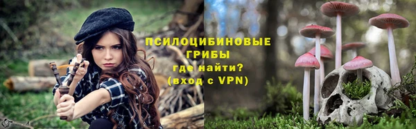 стаф Осташков